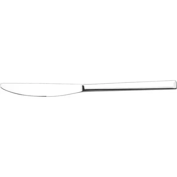 Speciální Cena Jídlení nůž Pintinox Synthesis 22,5 cm