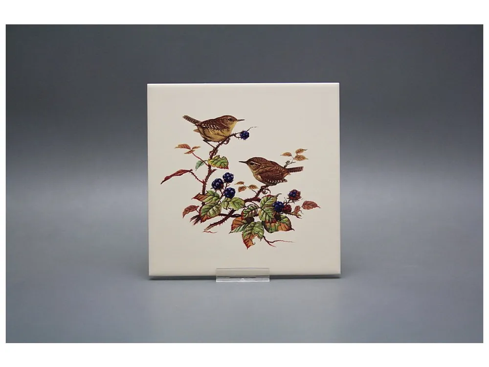 Obklad 15x15cm Střízlík LBM Finální Výprodej