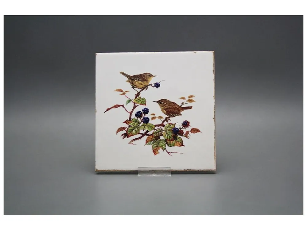 Značkový Obklad Forli Blanco 15x15cm Střízlík