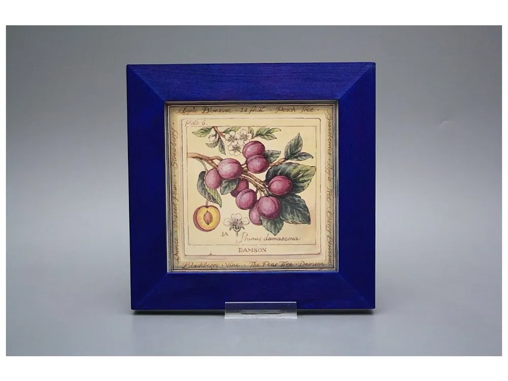 Obrázek 20x20cm Fruta eMOB Časově Omezené